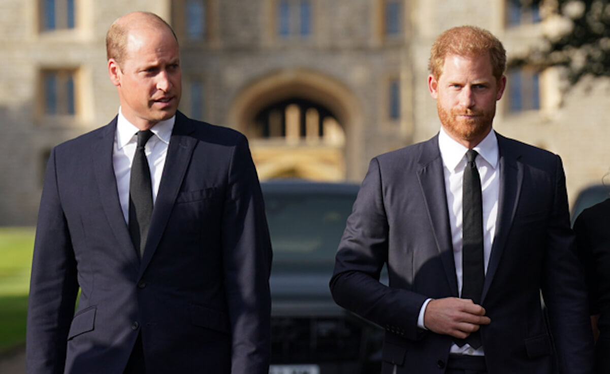 Prince Harry And Prince William Were Never Great Friends Growing Up Expert Says The Media