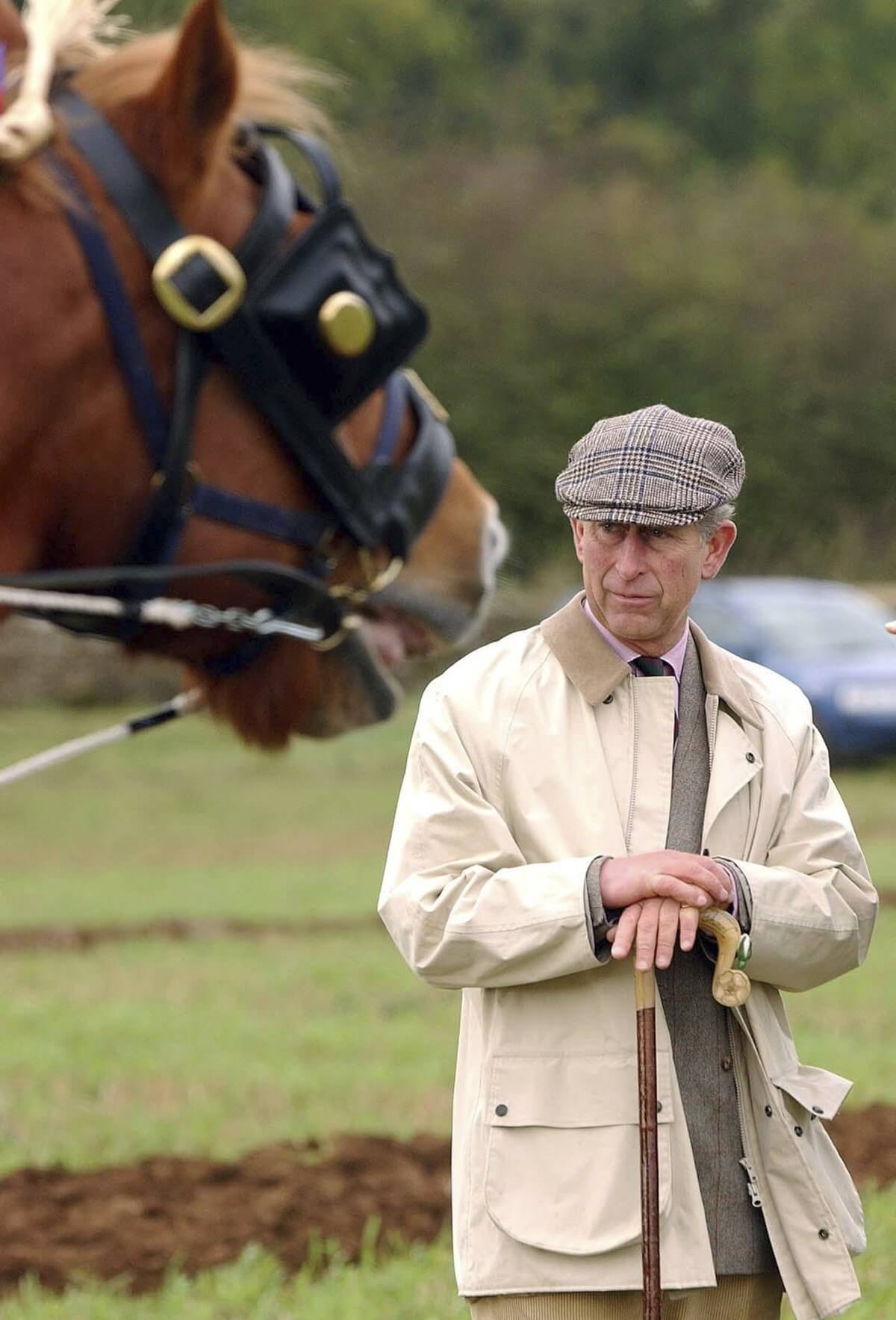 The Job King Charles Said He Would be 'Quite Happy' Doing if He Wasn't ...