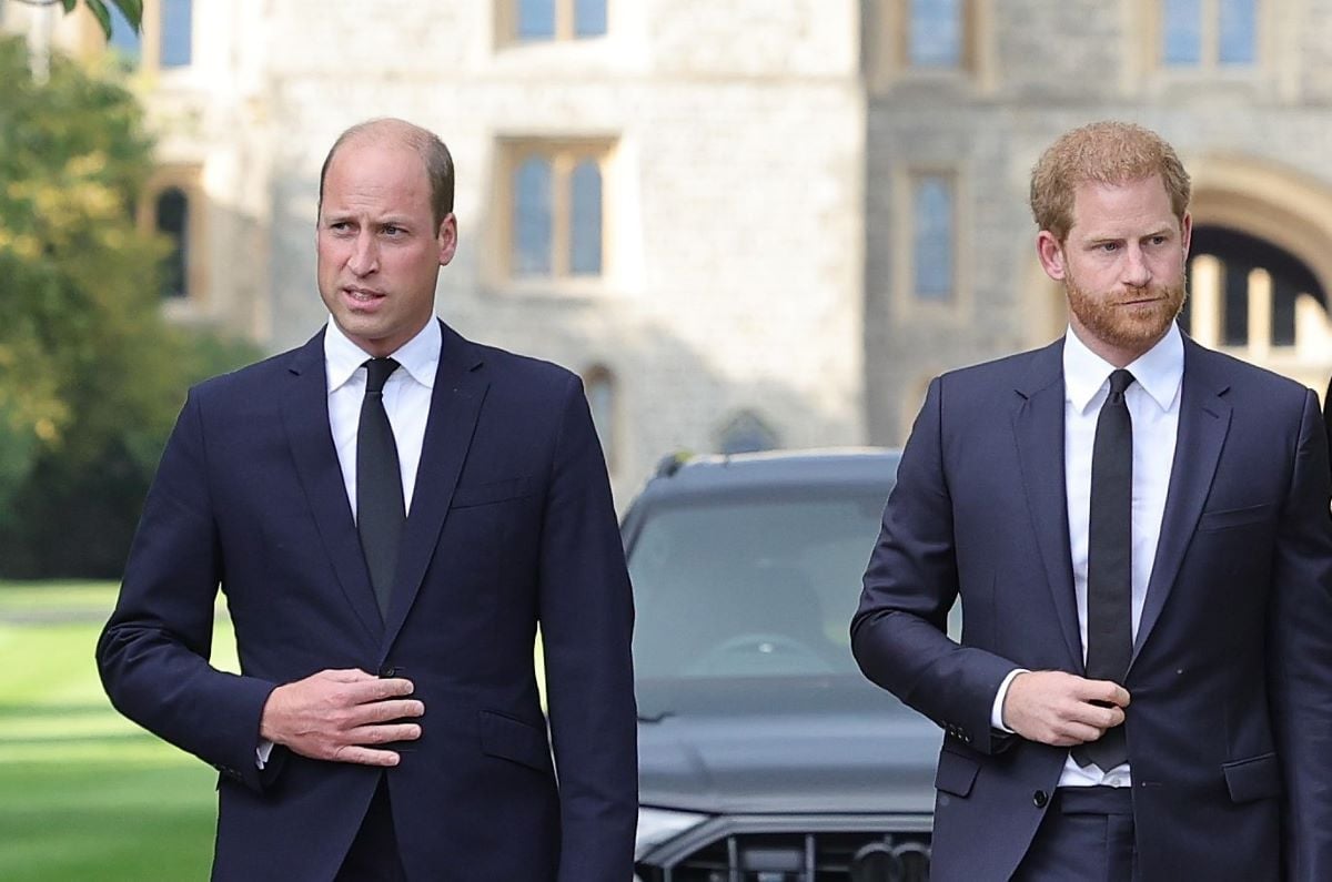 Prince Harry Had A Damaging 2-Word Response For Prince William When He ...