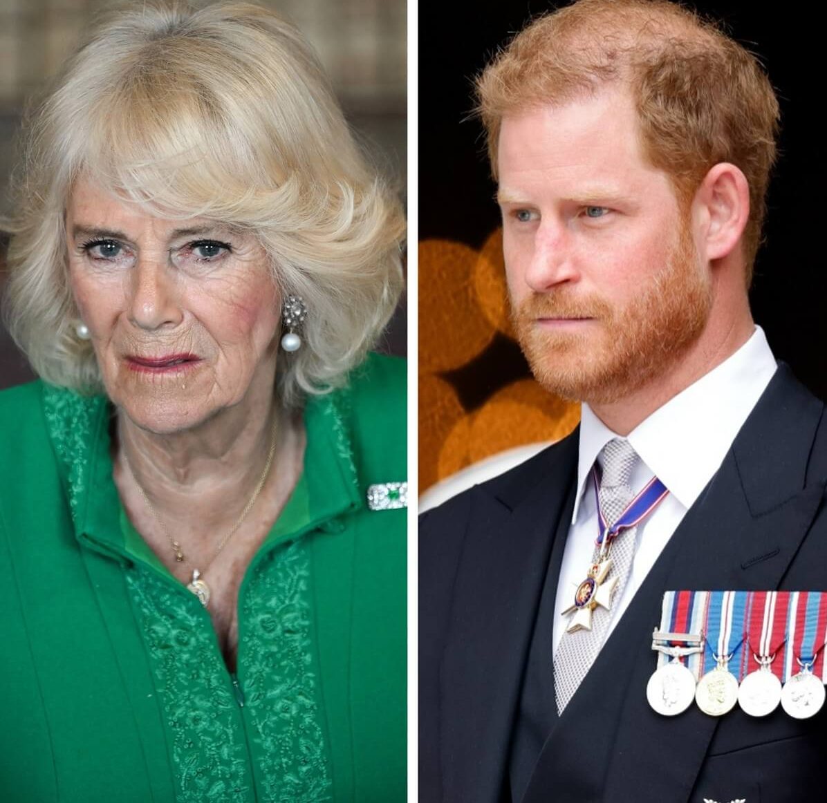 Queen Camilla Was Outraged By Prince Harrys Attitude During His Meeting With King Charles 