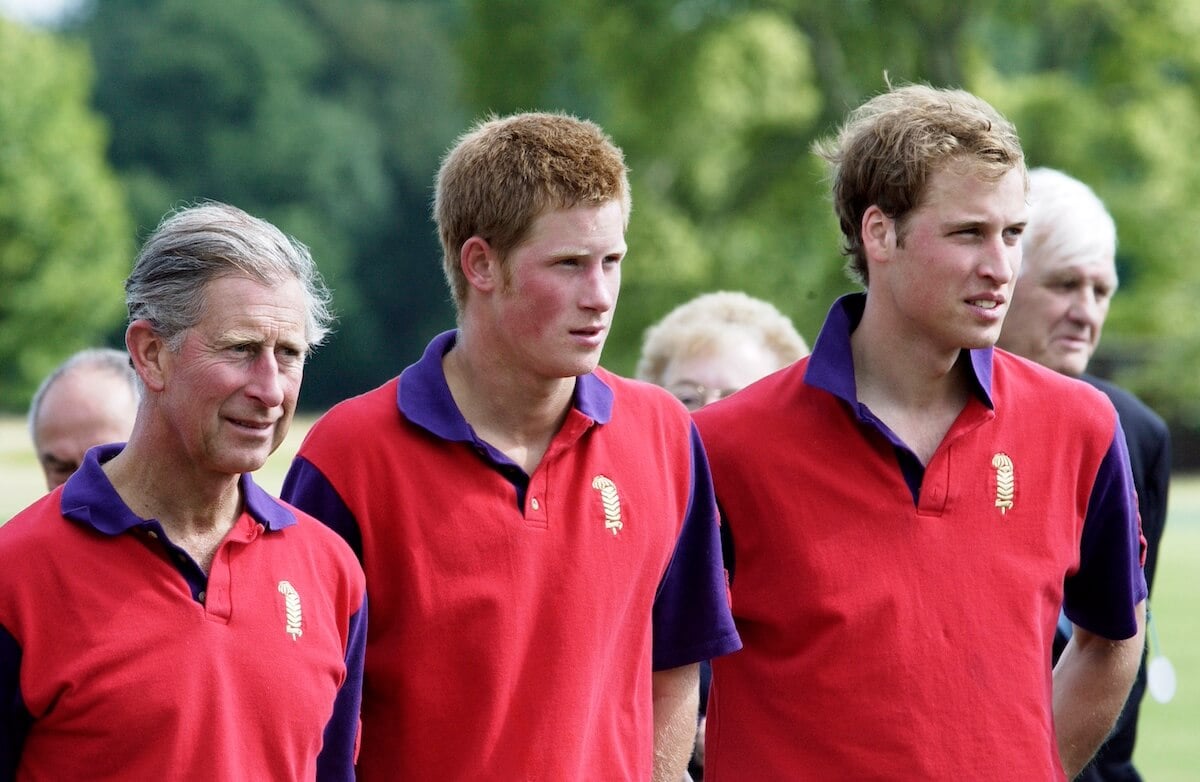 Royal Expert Says Prince Harry Has 'No Choice' But to Extend an Olive ...