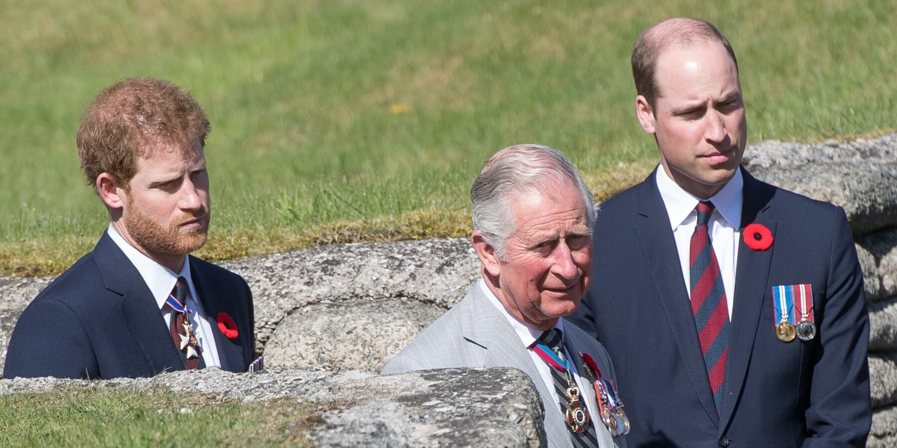 Prince Harry, King Charles, Prince William photographed in 2017