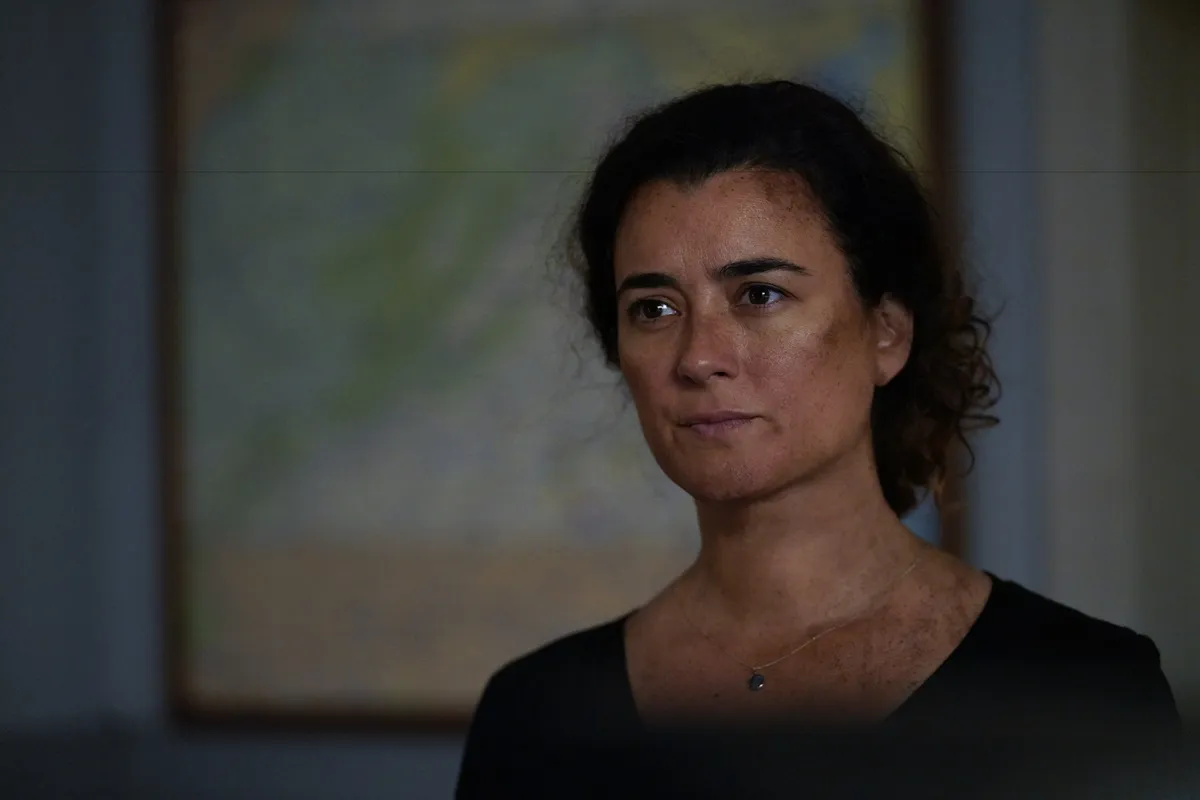 Cote de Pablo posing in an episode of 'NCIS' as her character Ziva David.