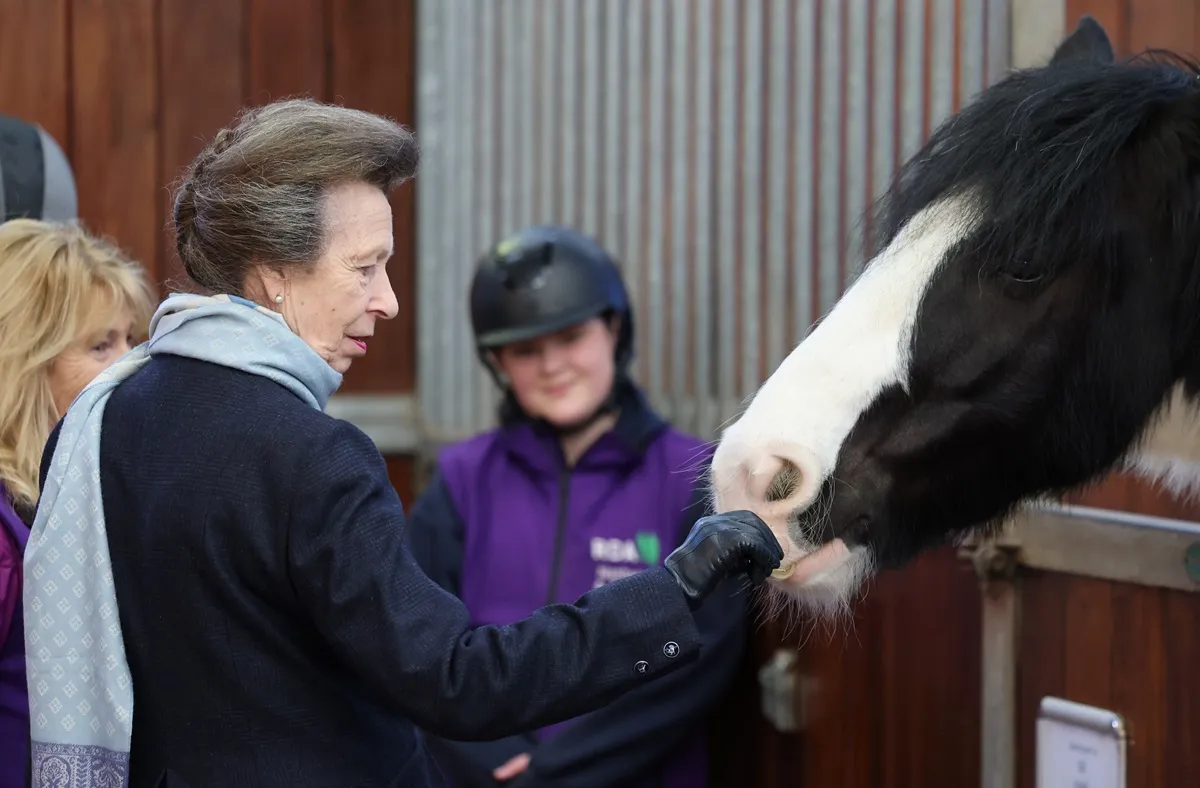 Princess Anne feeds a horse during her visit to the opening of the Reaseheath Equestrian College in Nantwich, England