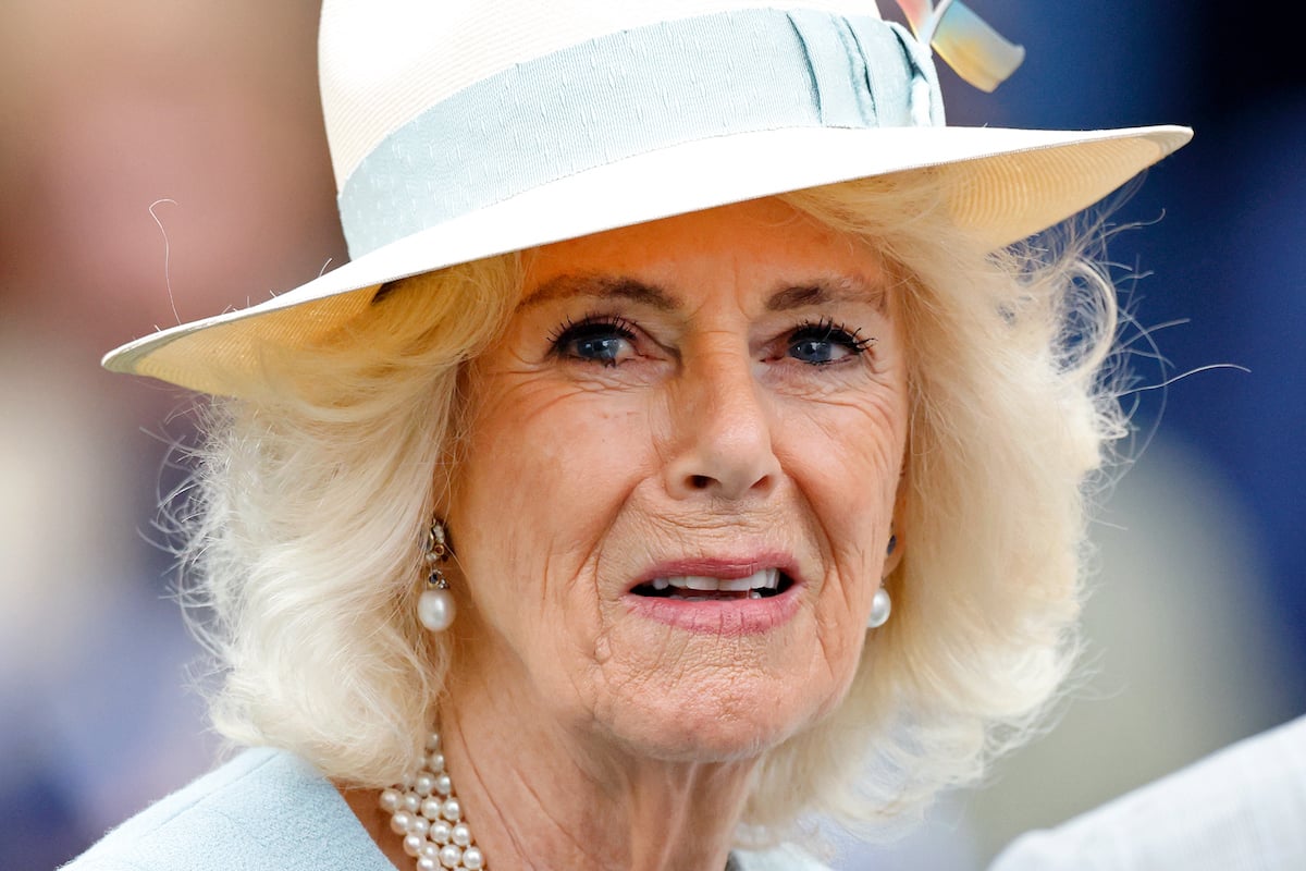 Royal Photographer Remembers Showing Queen Camilla First Glimpse of Newborn Prince Archie on Their Phone During ‘Difficult Times’