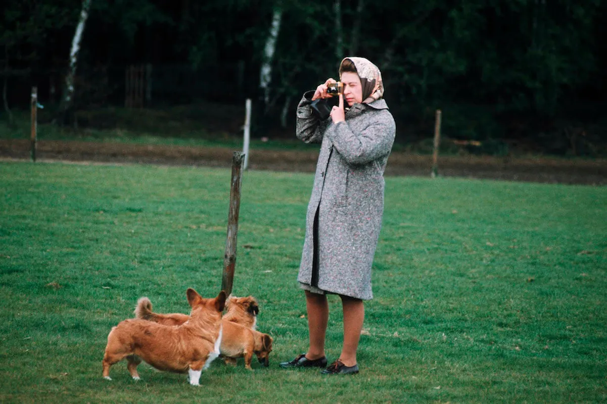Queen Elizabeth II takes a photo while walking with her corgis, who always 'betrayed' Prince Harry and King Charles