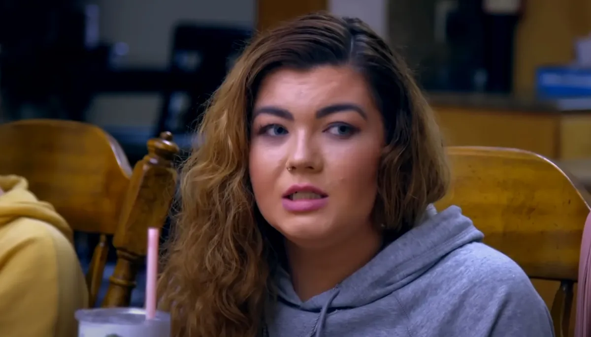Amber Portwood appears in 'Teen Mom: The Next Chapter'