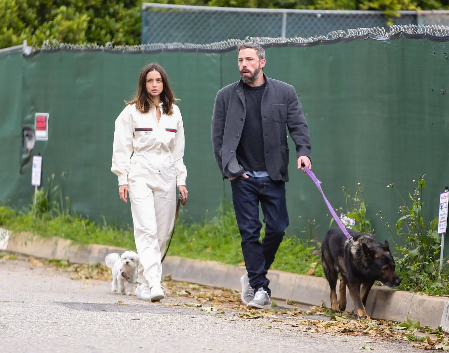 Ana de Armas and Ben Affleck walking their dogs in Los Angeles in 2020