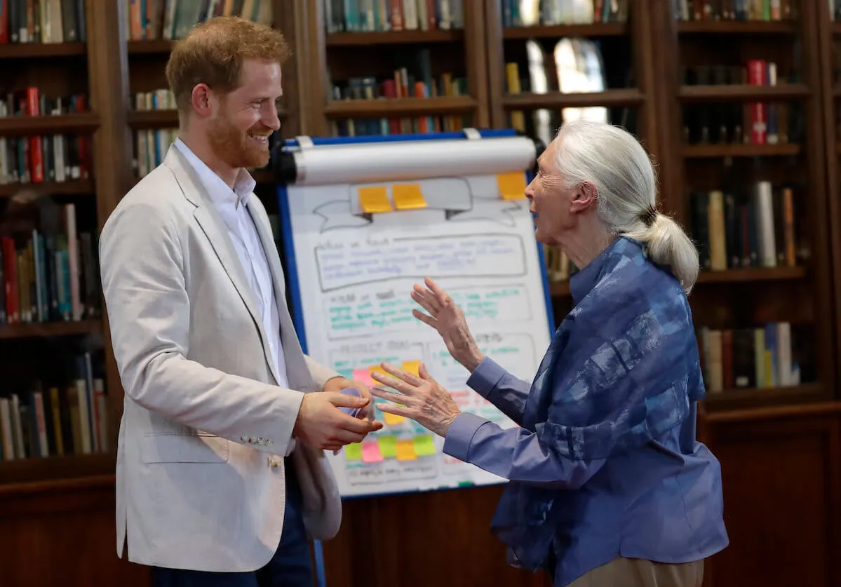 Prince Harry, who didn't want Prince Archie to learn to wave from Queen Elizabeth II, per a book, with Dr. Jane Goodall