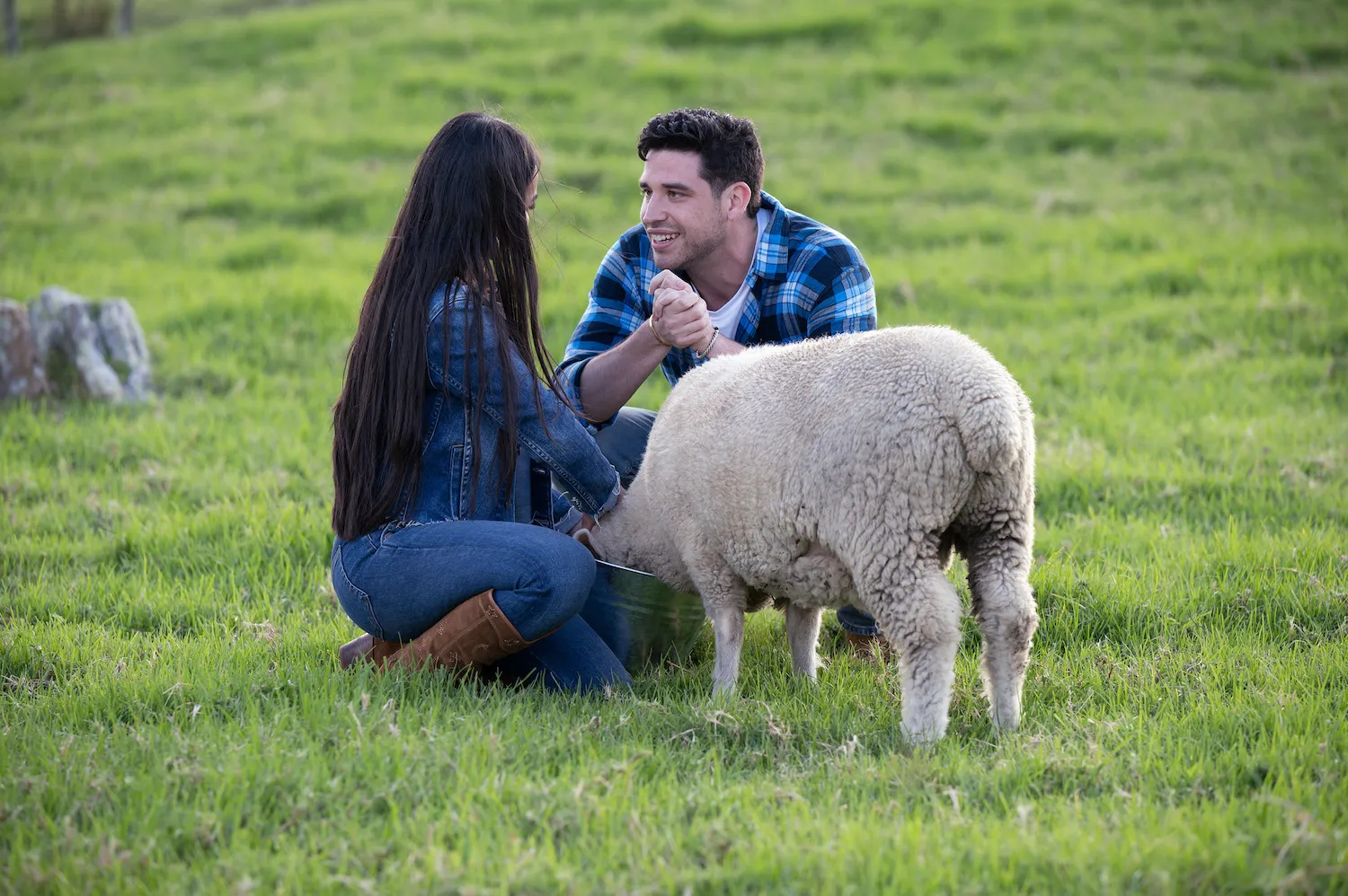 Devin Strader sitting in a field with Jenn Tran and a sheep during a date in 'The Bachelorette' Season 21