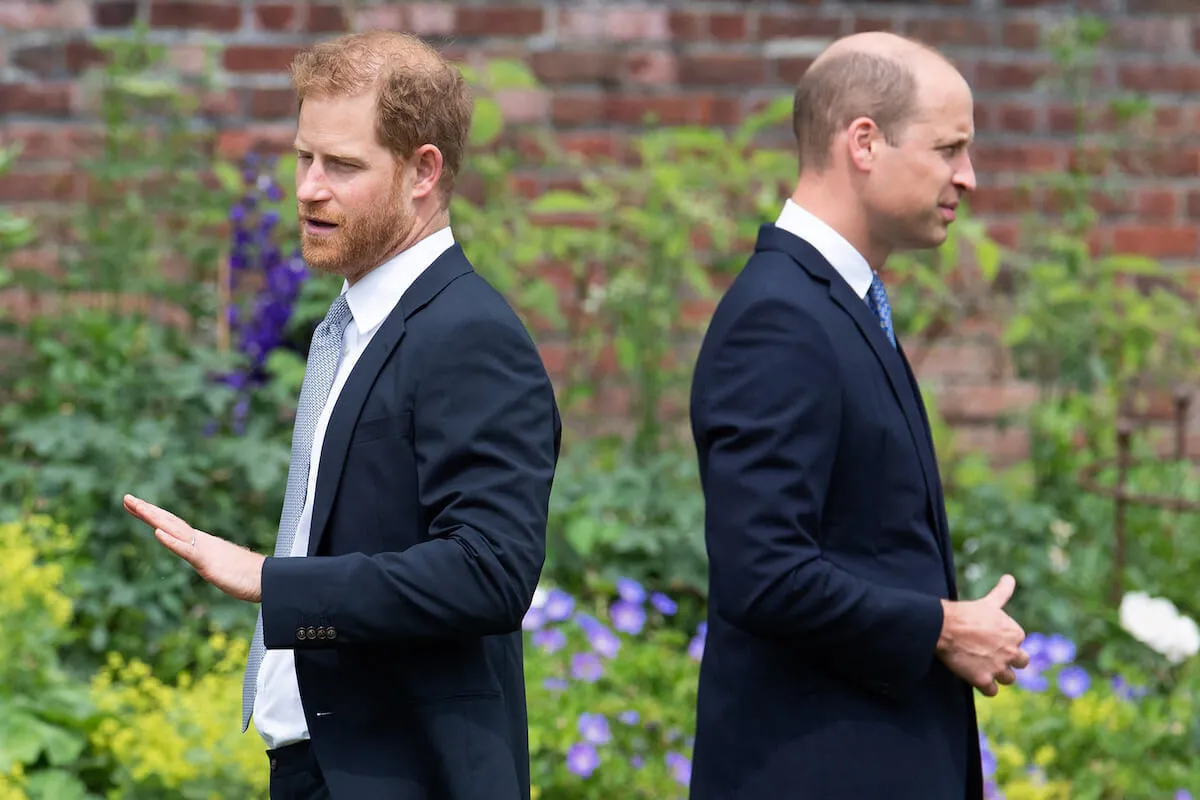 Prince Harry and Prince William, whose 'frost' in their relationship won't thaw by going to uncle Robert Fellowes' funeral, per commentators, stand with their backs turned 