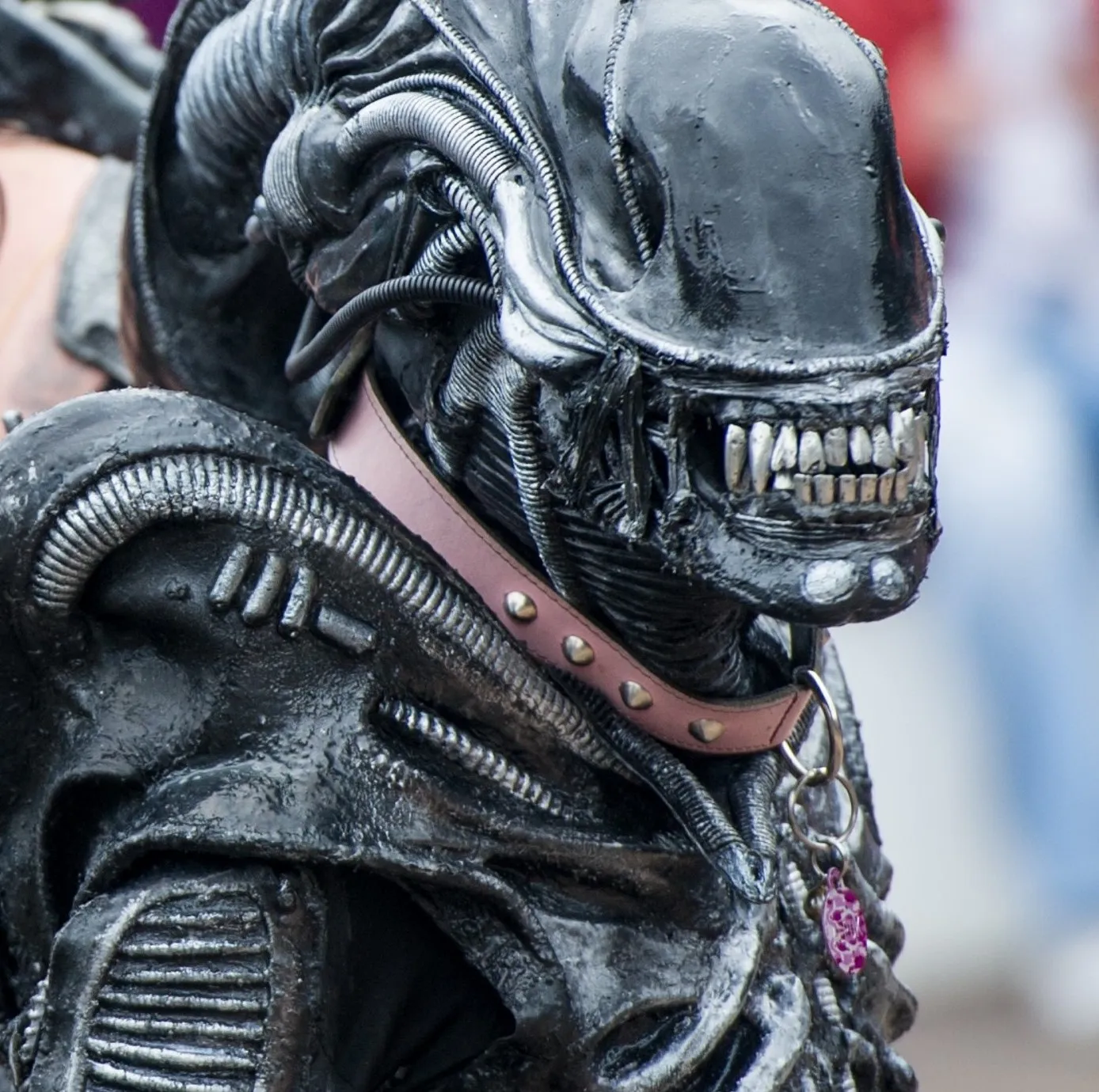 Someone dressed as a Xenomorph from the 'Alien' franchise