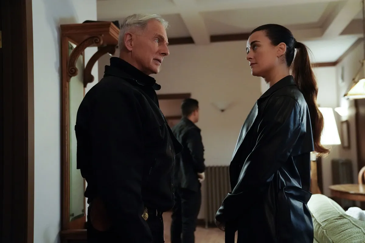 Cote de Pablo facing Mark Harmon in an episode of 'NCIS'.