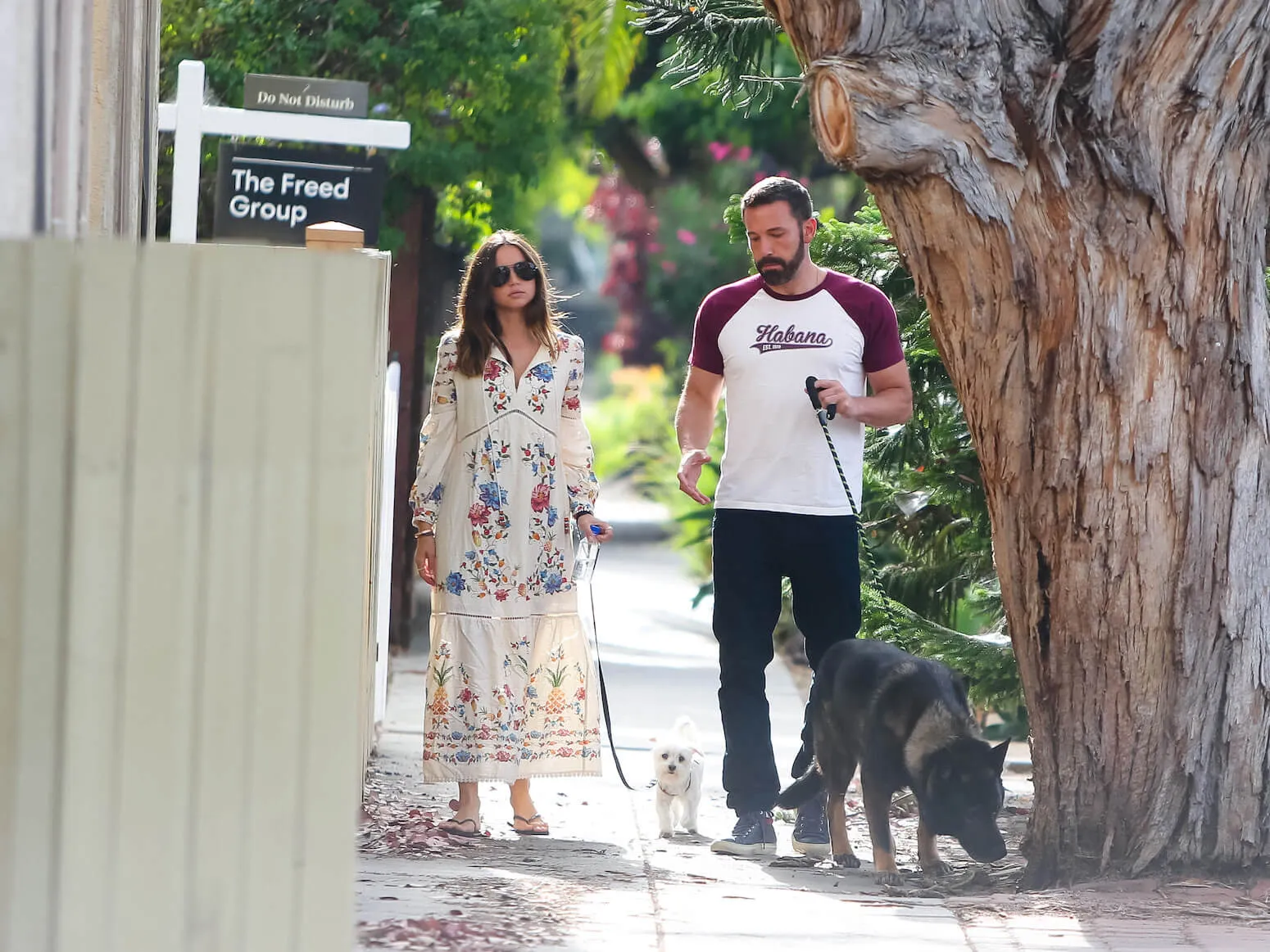 Ana de Armas and Ben Affleck walking through Los Angeles with their dogs in 2020