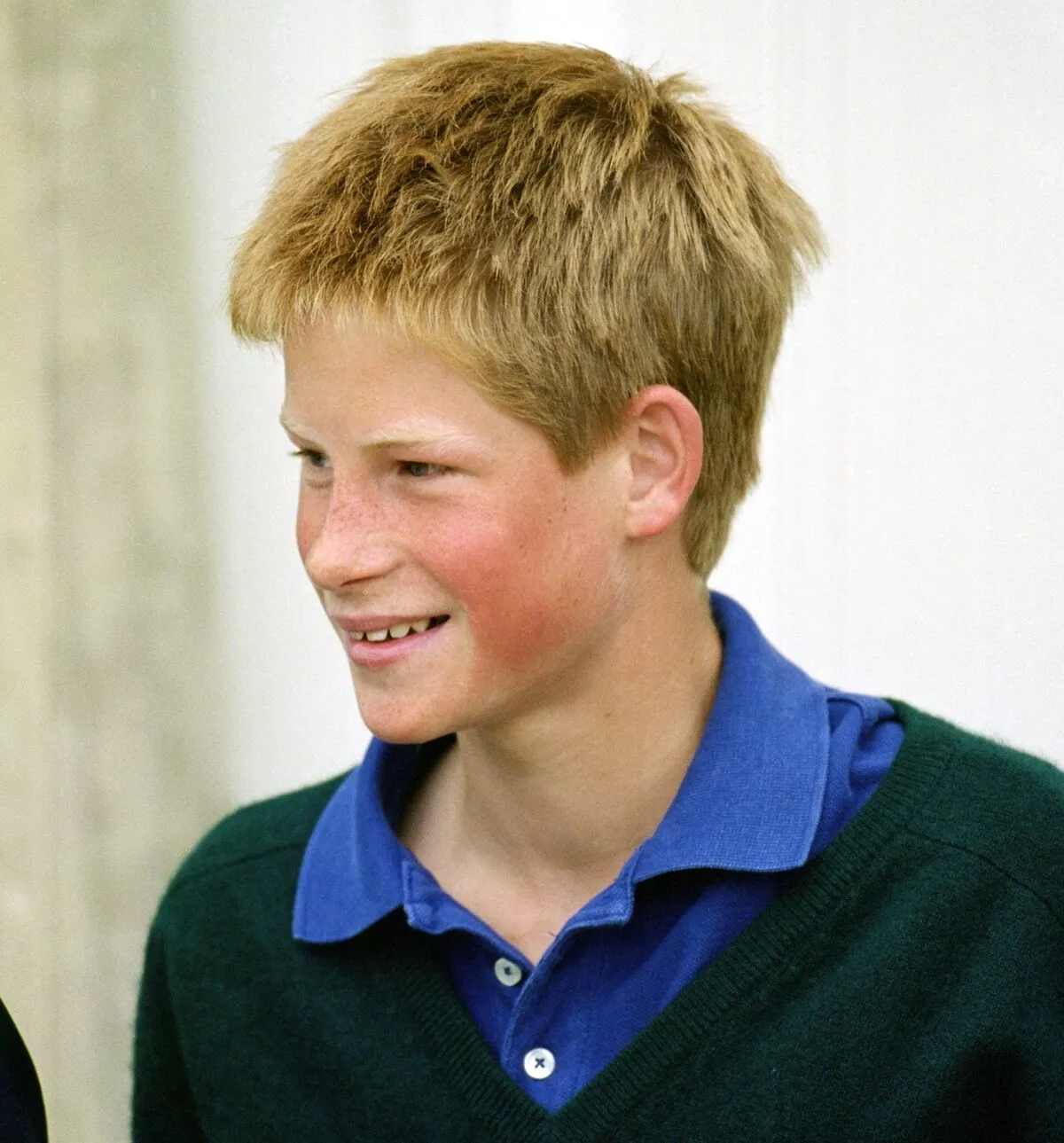 Prince Harry at Highgrove House in Gloucestershire, England