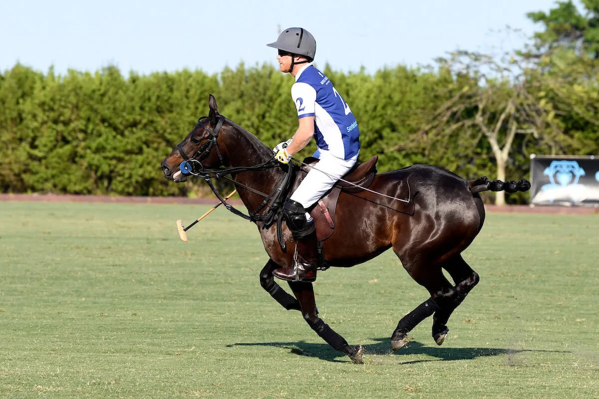 Prince Harry, who doesn't appear much in his Netflix 'Polo' documentary series, plays polo