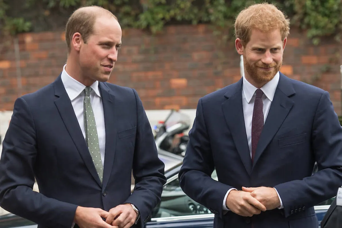 Prince William and Prince Harry, whose 'power differential' is on display with Jose Andres Earthshot Prize appointment, stand next to each other.