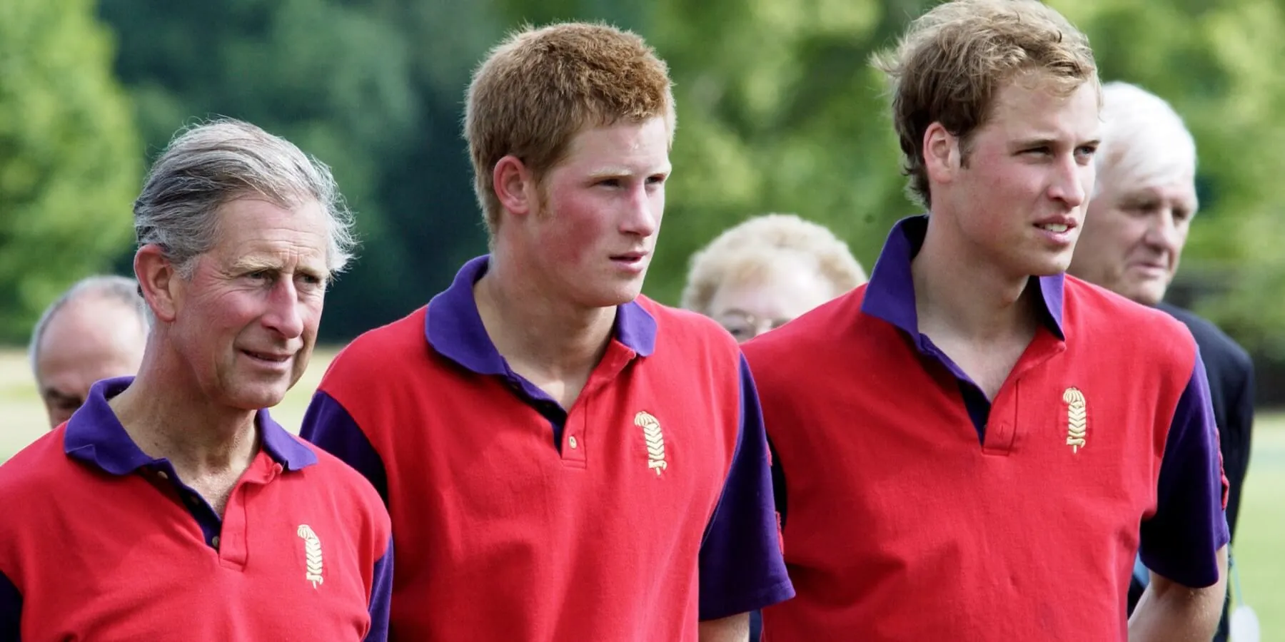 King Charles, Prince Harry and Prince William photographed at Cirencester Park Polo Club.