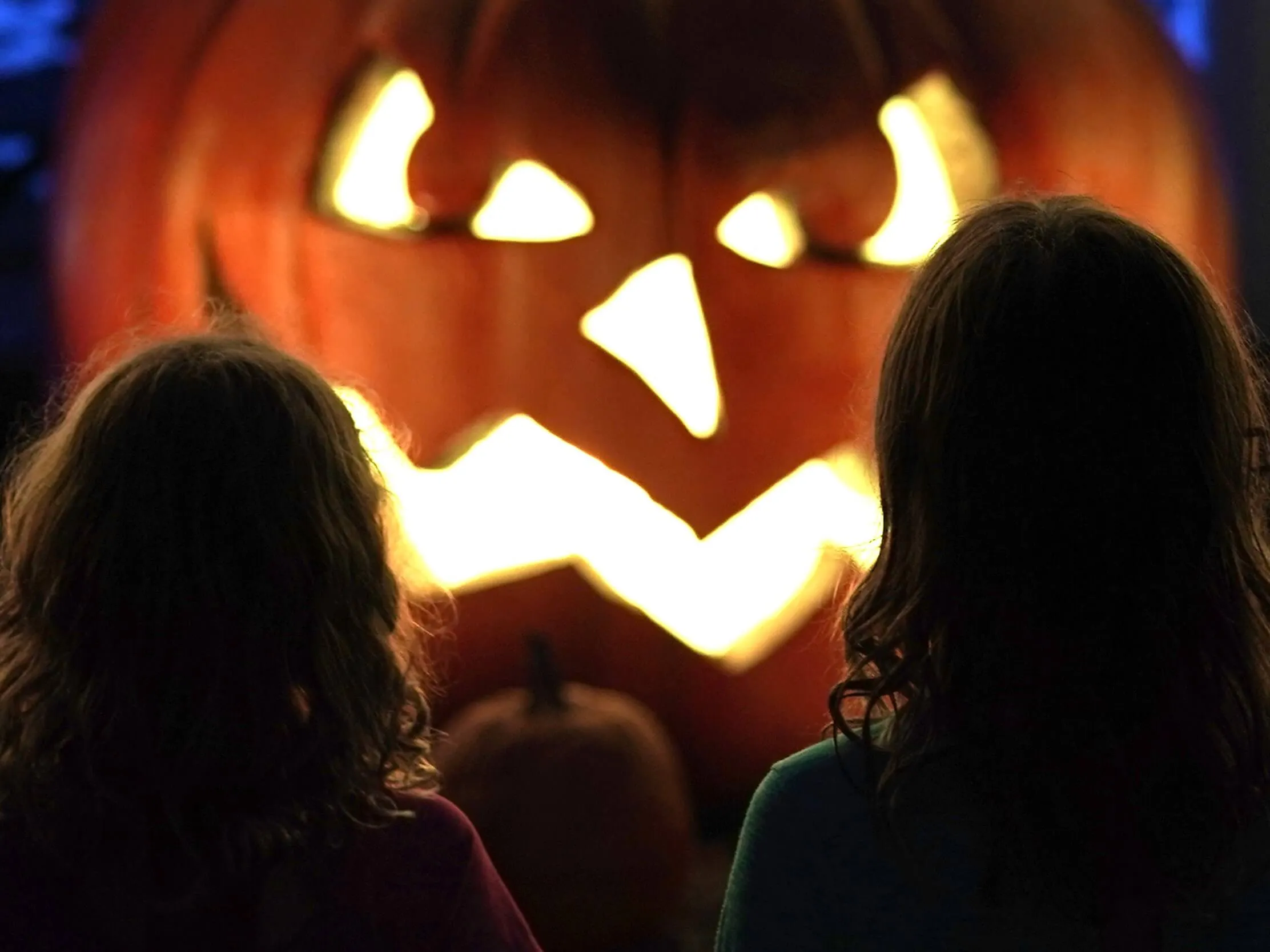 Children looking at a jack-o'-lantern