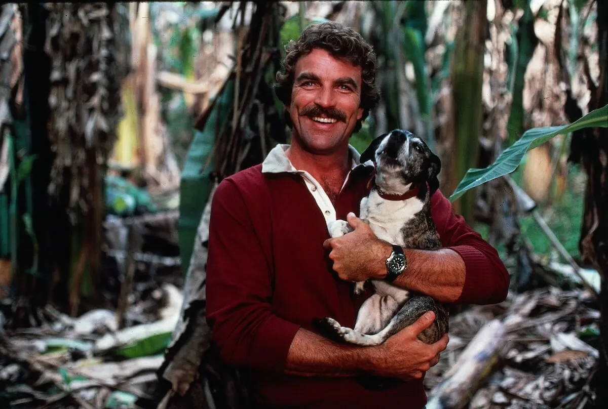 Tom Selleck as Thomas Magnum holding a puppy