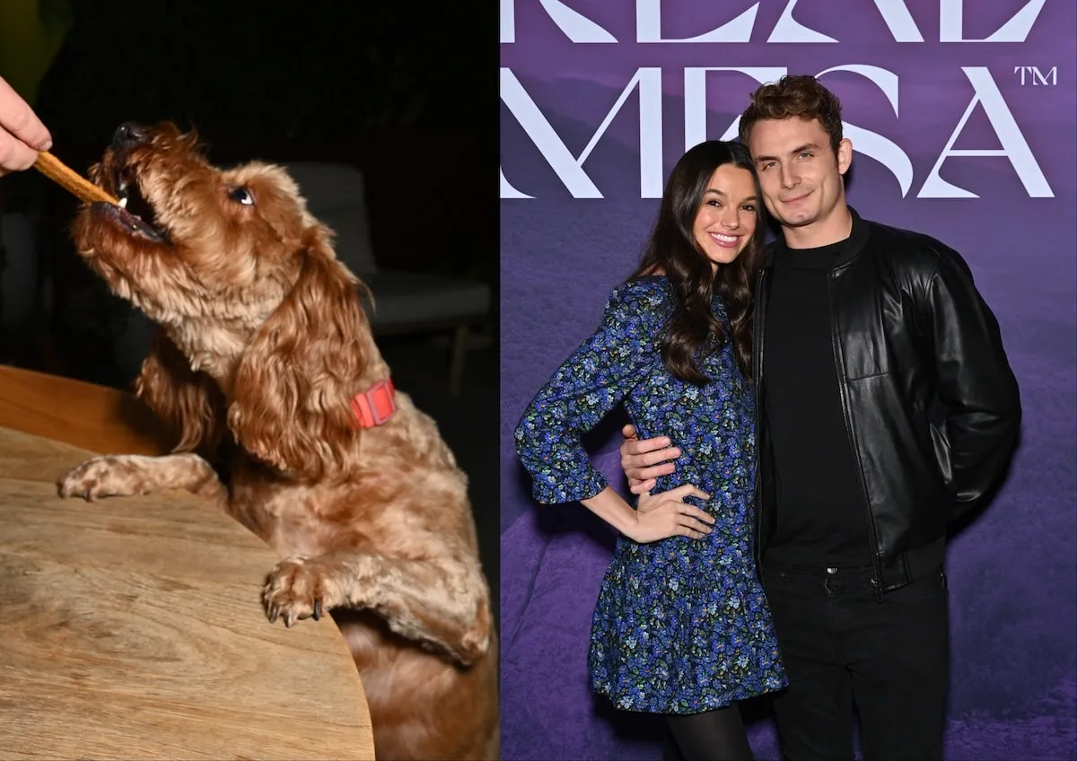 Smiling together, Ally Lewber and James Kennedy take photos with their goldendoodle Hippie at Dogsgiving with REÁL MESA