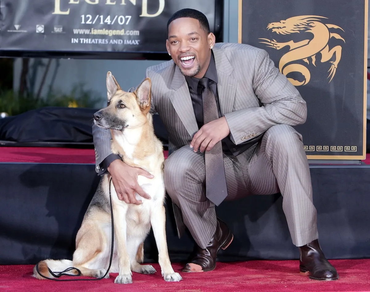 Wearing a gray suit, Will Smith smiles with Abby, the dog from "I Am Legend" as he is honored with a hand and footprint ceremony