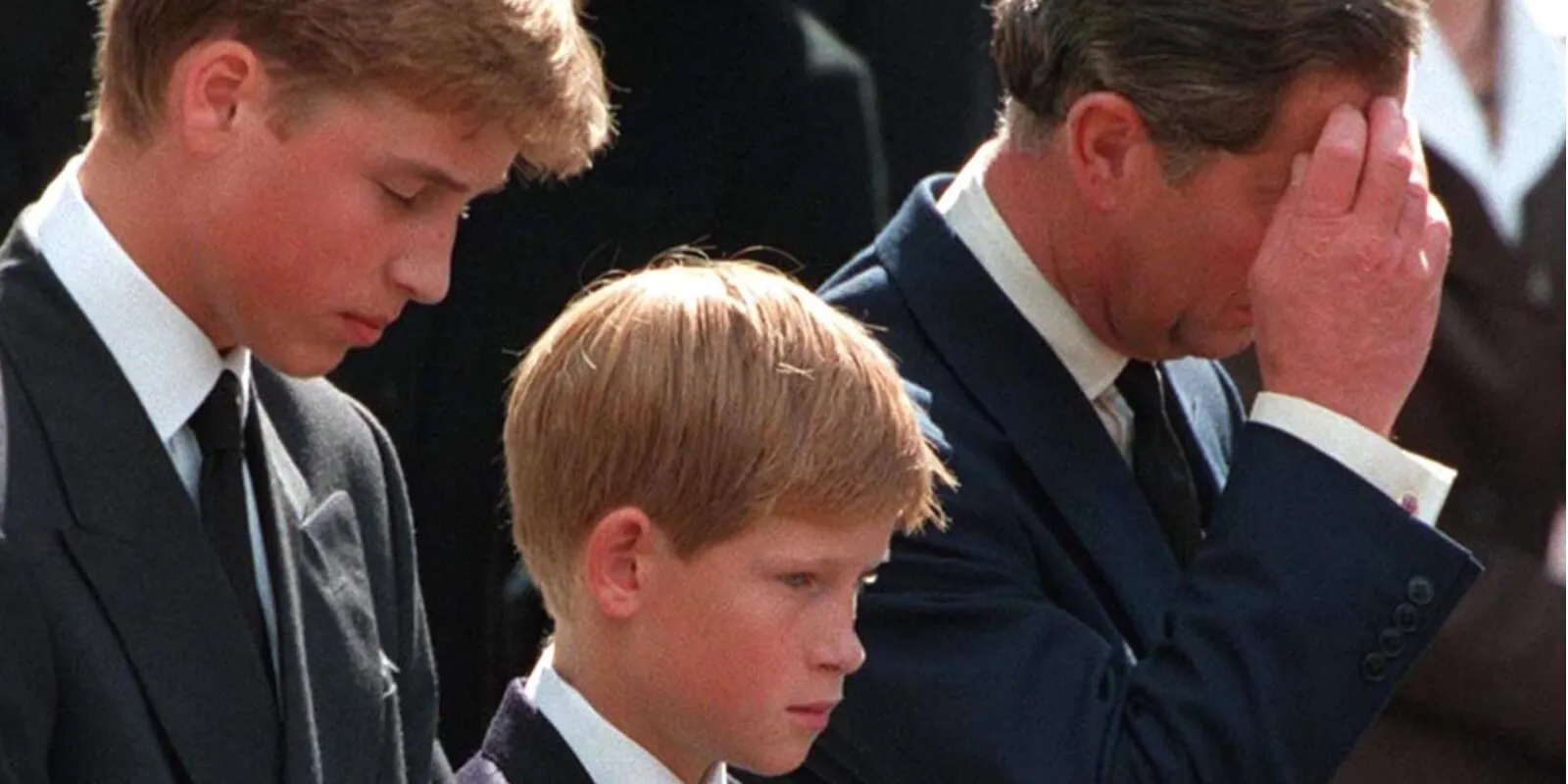 Prince William, Prince Harry, and King Charles